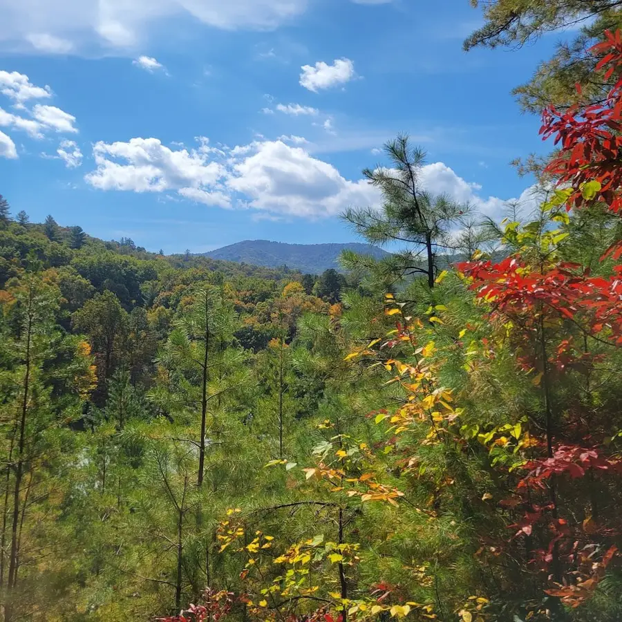 3.38 Long Creek, Robbinsville, NC 28771 - #2