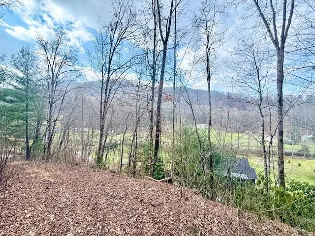 00 Beech Creek/ Little Hardwood, Robbinsville, NC 28771 - #2