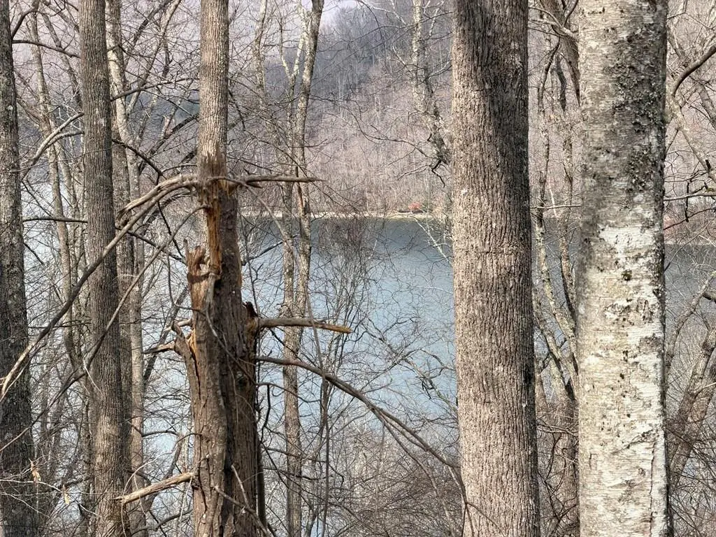 Lot 12 Lake Vista Circle, Nantahala, NC 28781 - #1
