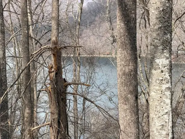 Lot 12 Lake Vista Circle, Nantahala, NC 28781