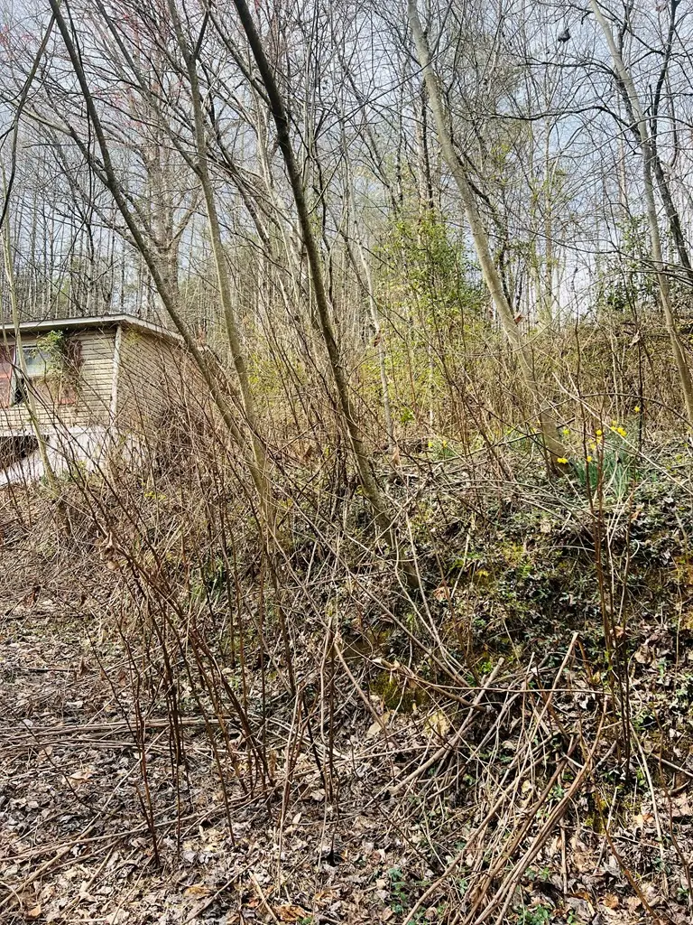 1659 Joe Brown Highway, Murphy, NC 28906 - #2