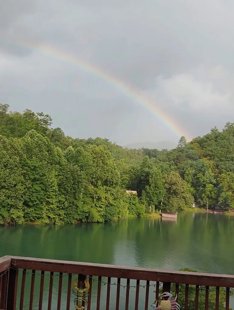 238 Lakeview Drive, Almond, NC 28702 - #2