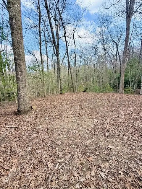 00 Pleasant View, Robbinsville, NC 28771 - #2