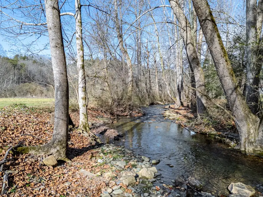 172 Eden Acres Drive, Andrews, NC 28901 - #3