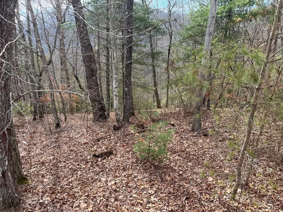300 Jernigan Court, Murphy, NC 28906 - #3