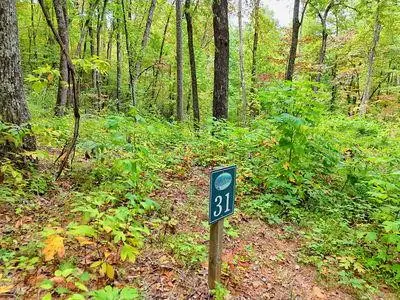 Lot 31 Skyview Trail, Hayesville, NC 28904