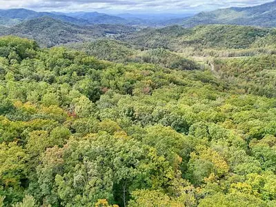 Lot 31 Skyview Trail, Hayesville, NC 28904 - #2