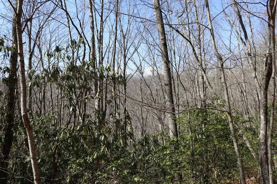 TBD Brandonwood Drive, Topton, NC 28781 - #3