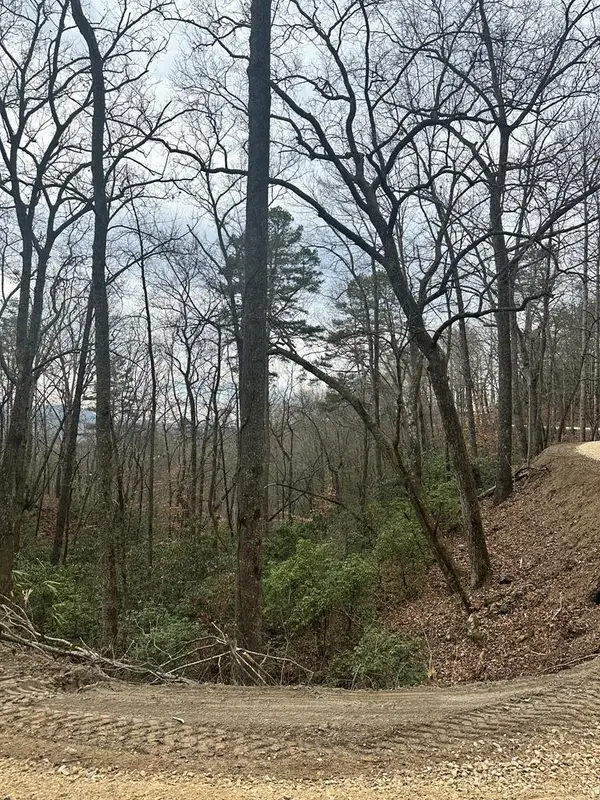 0 Tatham Gap Road, Andrews, NC 28901