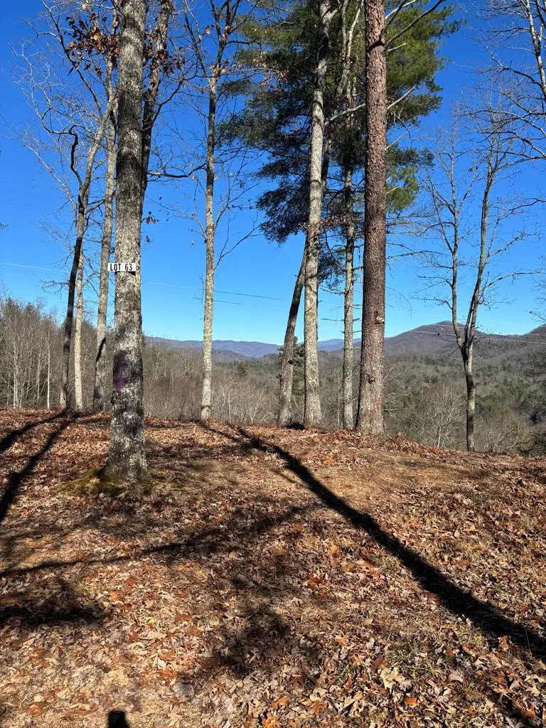 Lot 63 Thundering Hill, Murphy, NC 28906 - #1