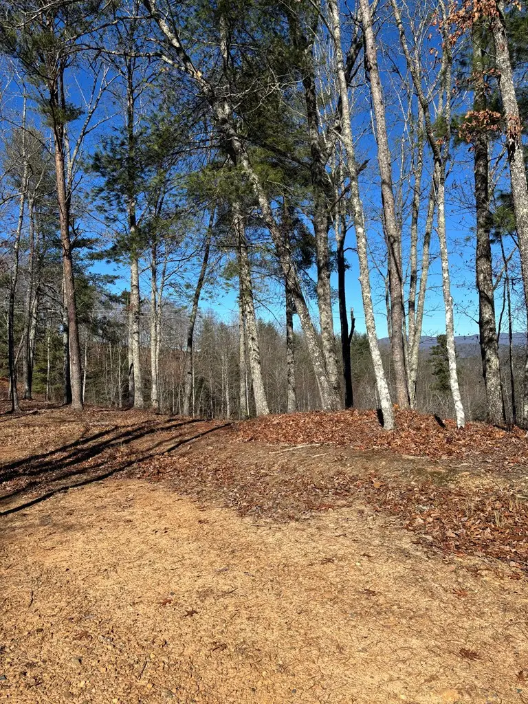 Lot 63 Thundering Hill, Murphy, NC 28906 - #2