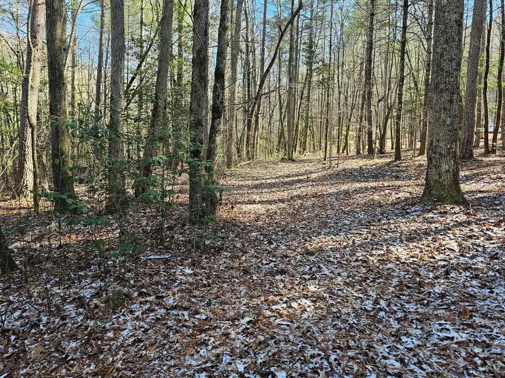 0 Beaverdam Road, Murphy, NC 28906 - #1