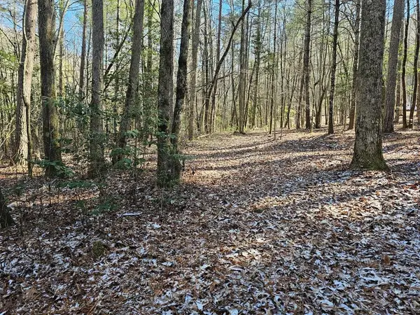 0 Beaverdam Road, Murphy, NC 28906