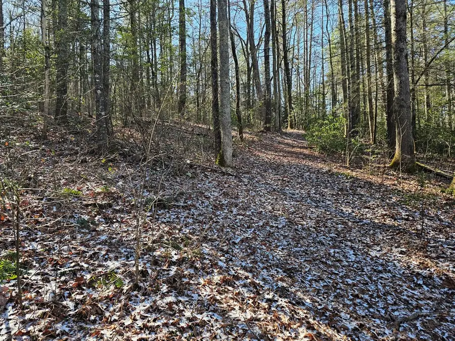 0 Beaverdam Road, Murphy, NC 28906 - #3
