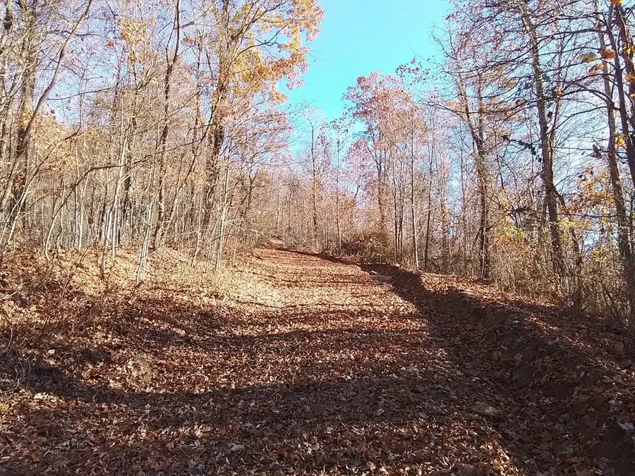 1500 Bear Mountain Road, Murphy, NC 28906 - #2