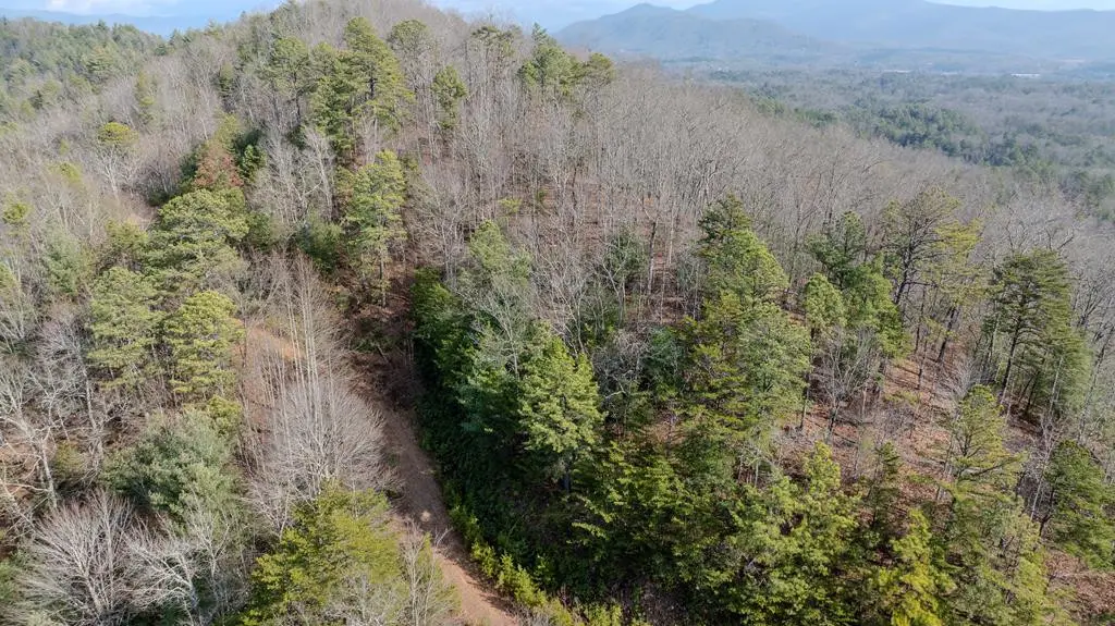 1.03 Deep Forest Road, Murphy, NC 28906 - #1