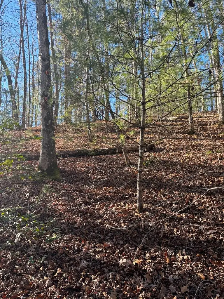 1.03 Deep Forest Road, Murphy, NC 28906 - #2