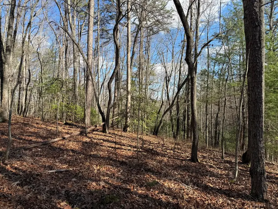 4, 5 &6 Mountain Wood Drive, Murphy, NC 28906 - #3
