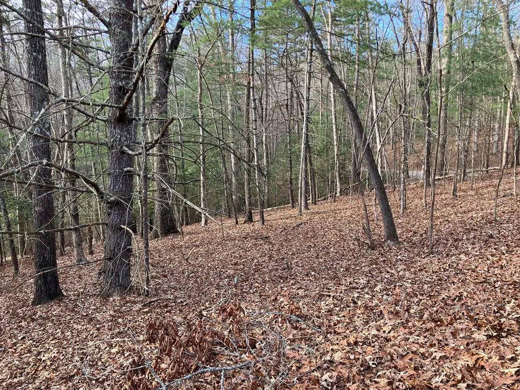 Lot 26a Amandas Way, Murphy, NC 28906 - #1