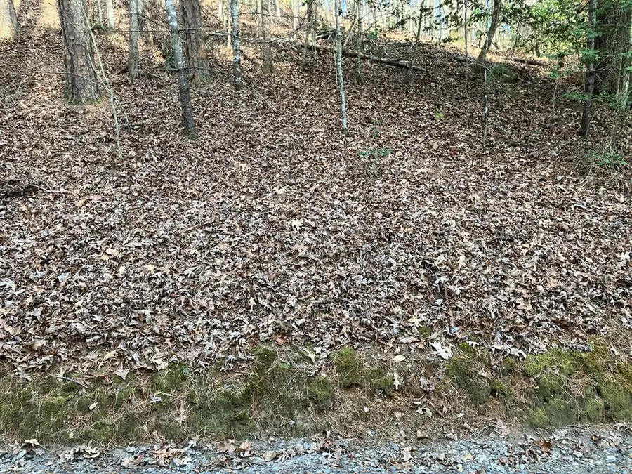 Lot 26a Amandas Way, Murphy, NC 28906 - #3