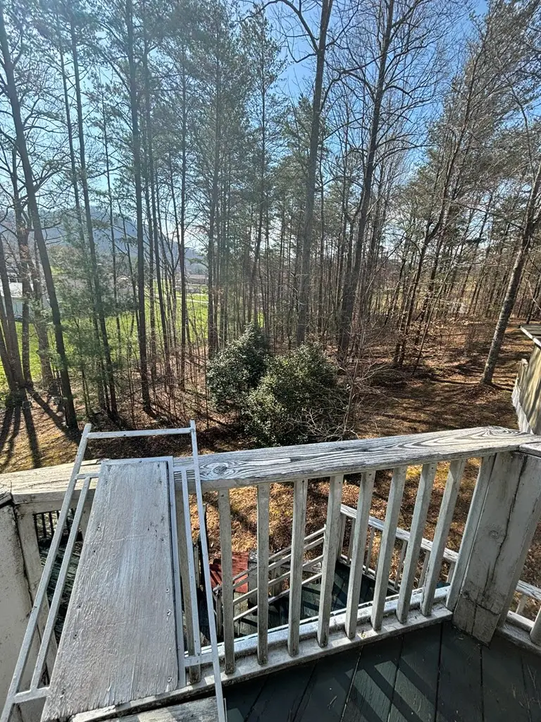 36 Benson Drive, Blairsville, GA 30512 - #2
