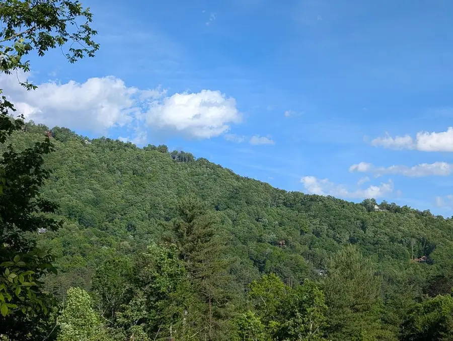 660 Mountain Top Road, Marble, NC 28905 - #2