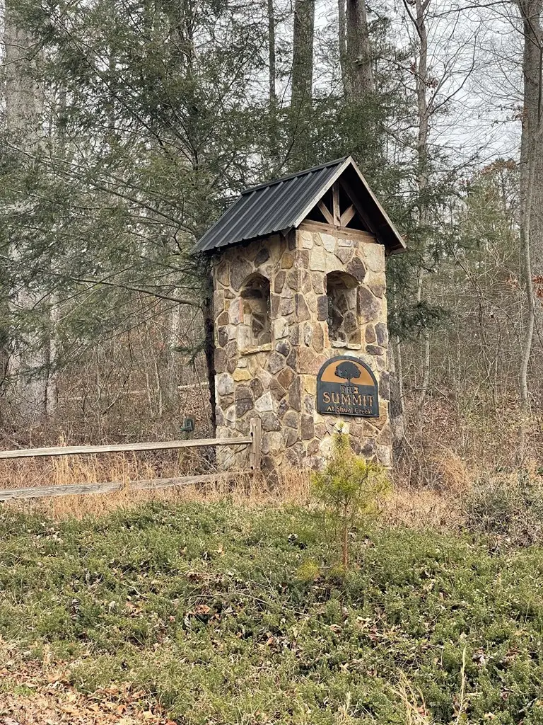 TBD Chimney Top Trail, Murphy, NC 28906 - #3