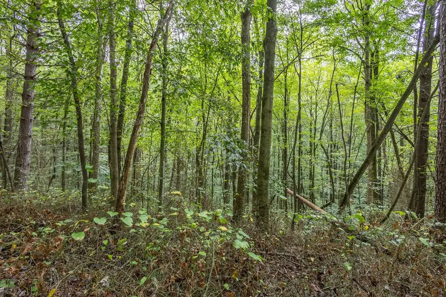 3 AC Chestnut Flats Road, Andrews, NC 28901 - #2