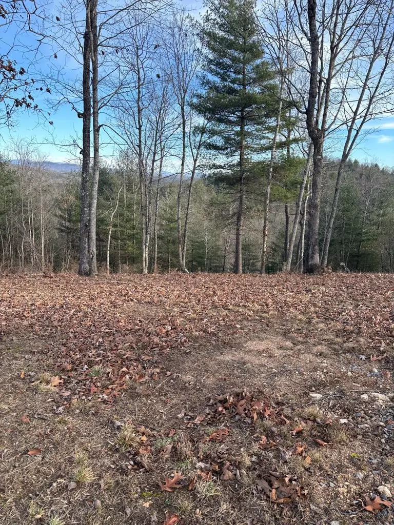 Lot 1 Thundering Hill, Murphy, NC 28906 - #3