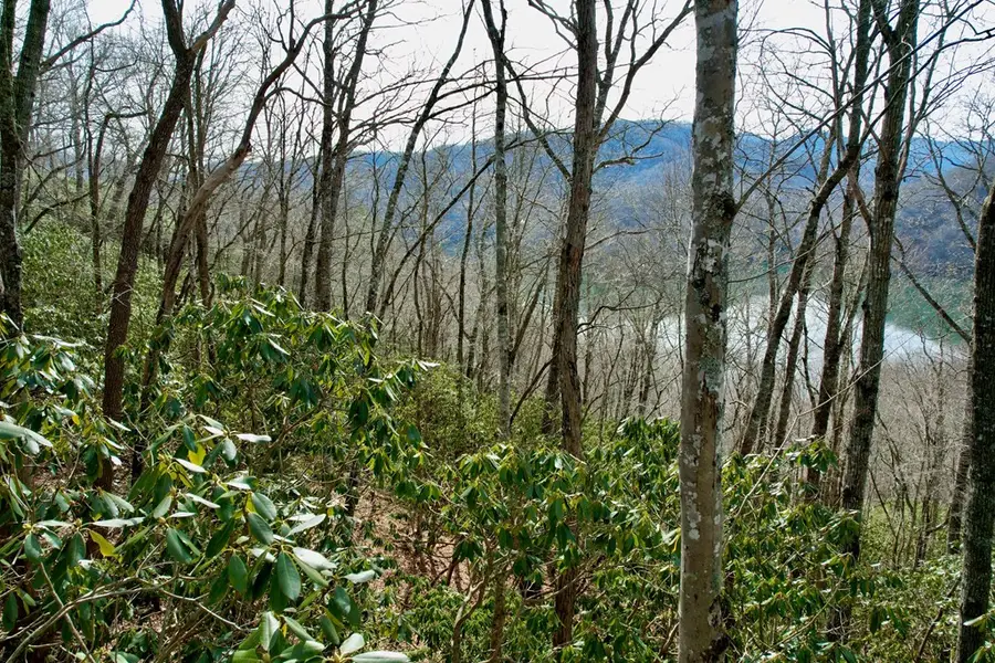 TBD Zimmerman / Holly Ridge Road, Nantahala, NC 28781 - #2