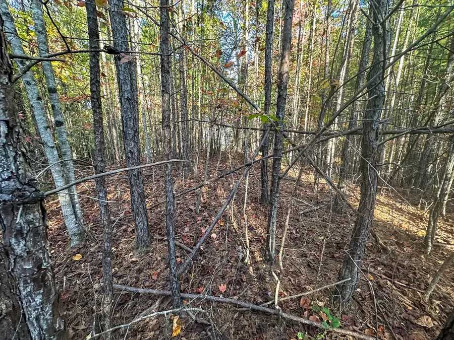 0 Dones Drive, Murphy, NC 28906 - #2