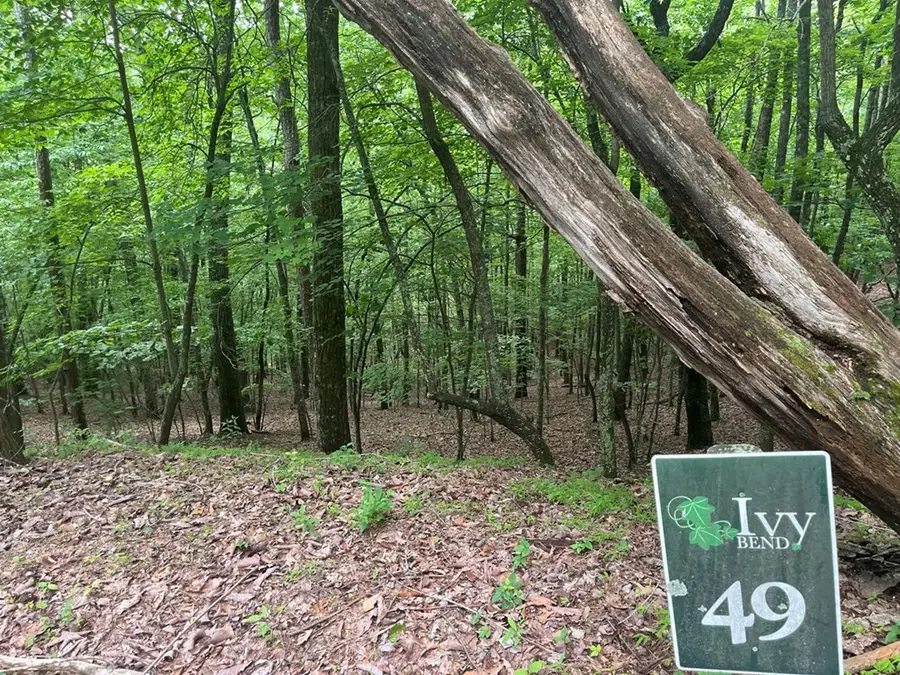Lot 49 Burger Road, Murphy, NC 28906 - #3