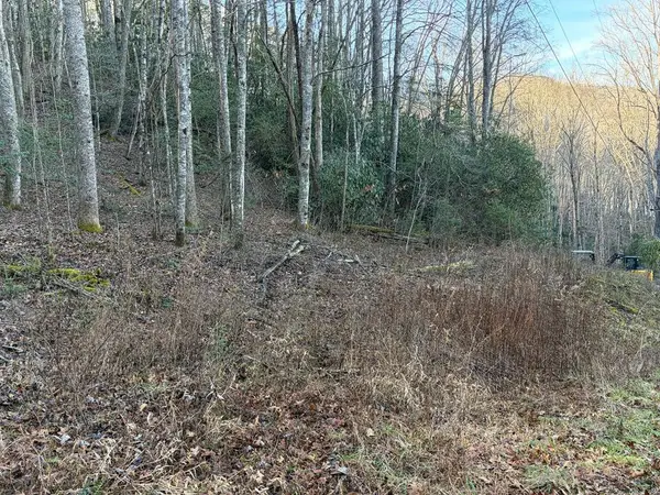 00 Choga Trail, Topton, NC 28781