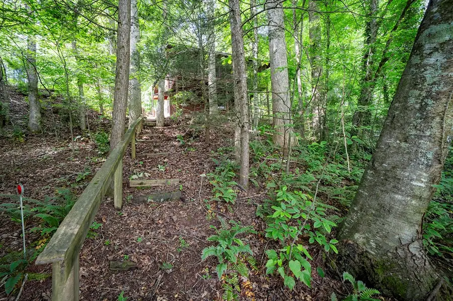 328 Forest Lakes, Robbinsville, NC 28771 - #3