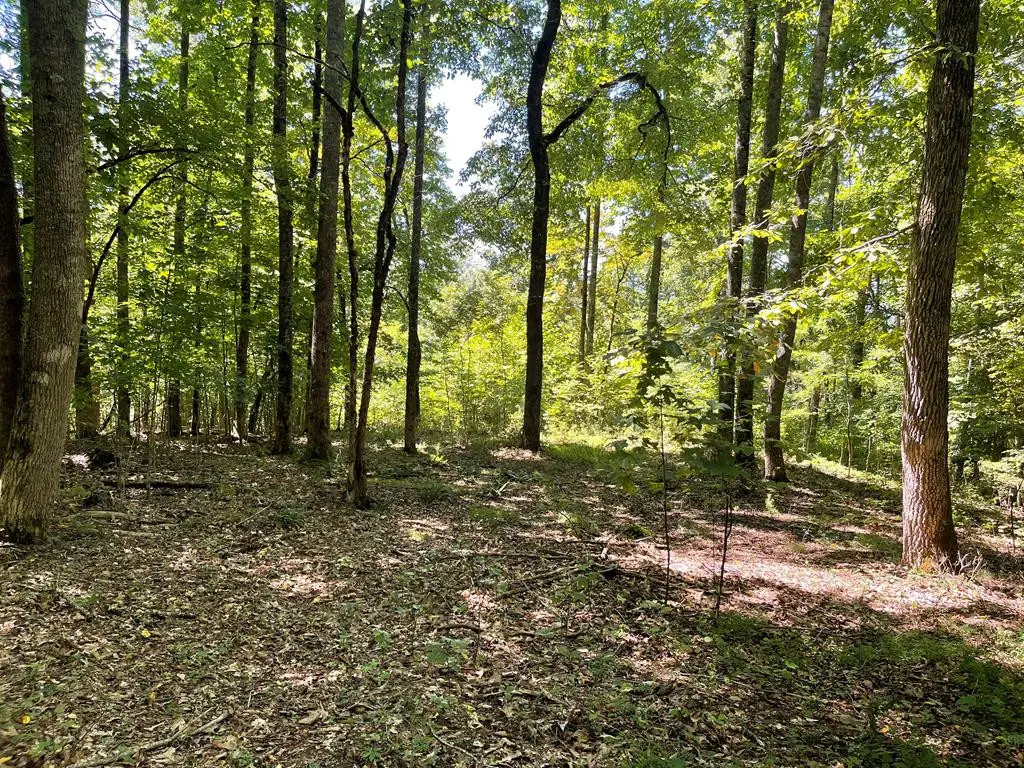 Lot 11B Grandview Drive, Hayesville, NC 28904 - #1