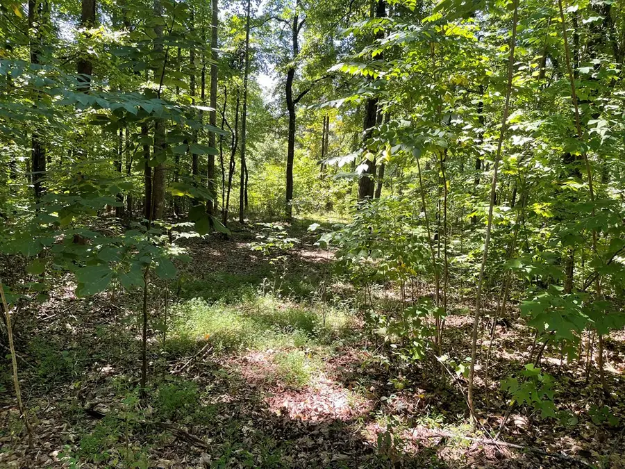 Lot 11B Grandview Drive, Hayesville, NC 28904 - #2