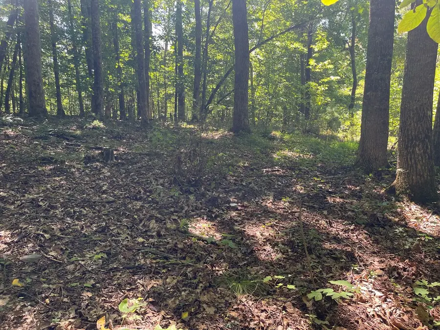 Lot 11B Grandview Drive, Hayesville, NC 28904 - #3