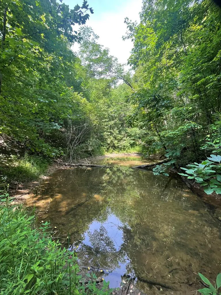 00 Hidden Lakes Road, Topton, NC 28781 - #1