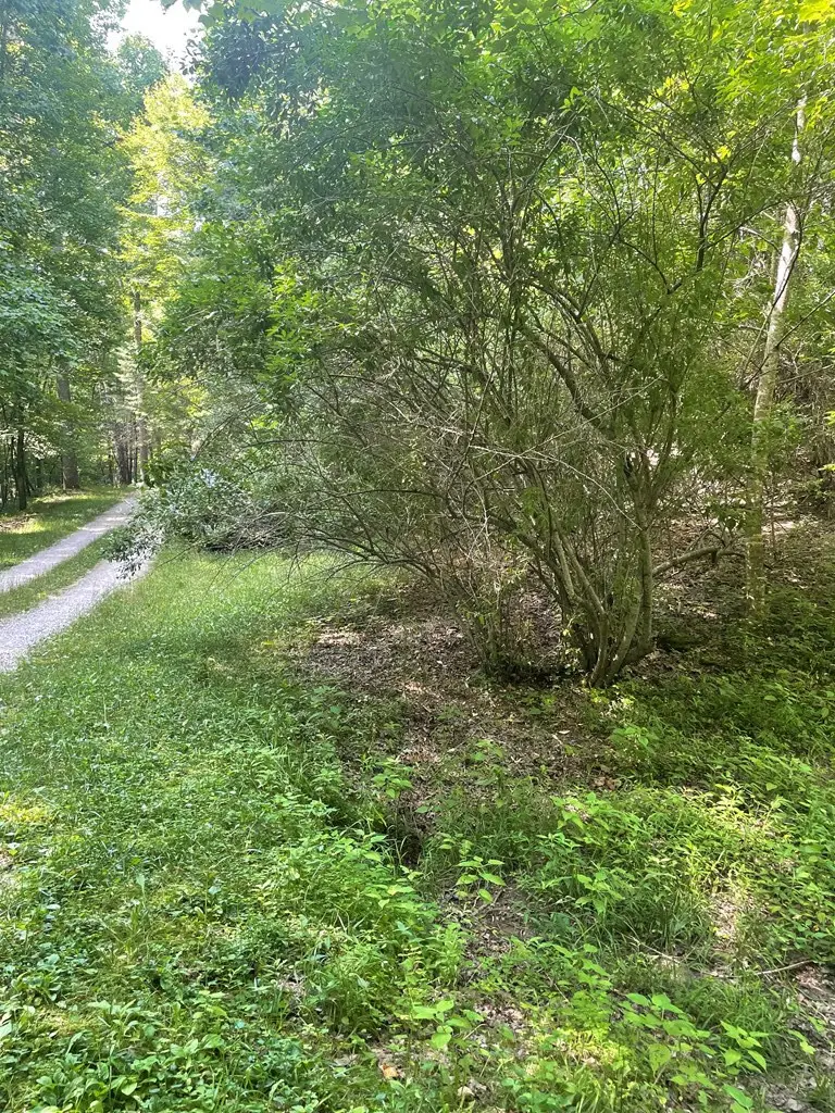00 Hidden Lakes Road, Topton, NC 28781 - #2