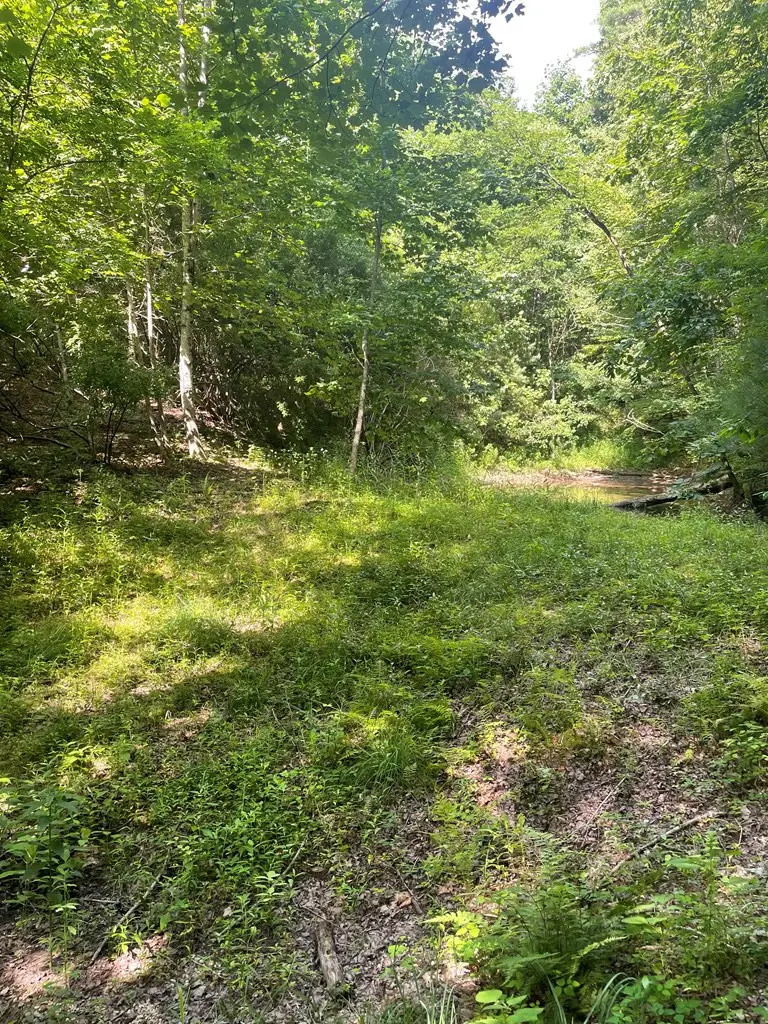 00 Hidden Lakes Road, Topton, NC 28781 - #3