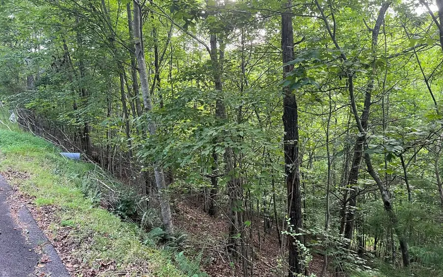 Lot 13 The Preserve, Brasstown, NC 28902 - #3