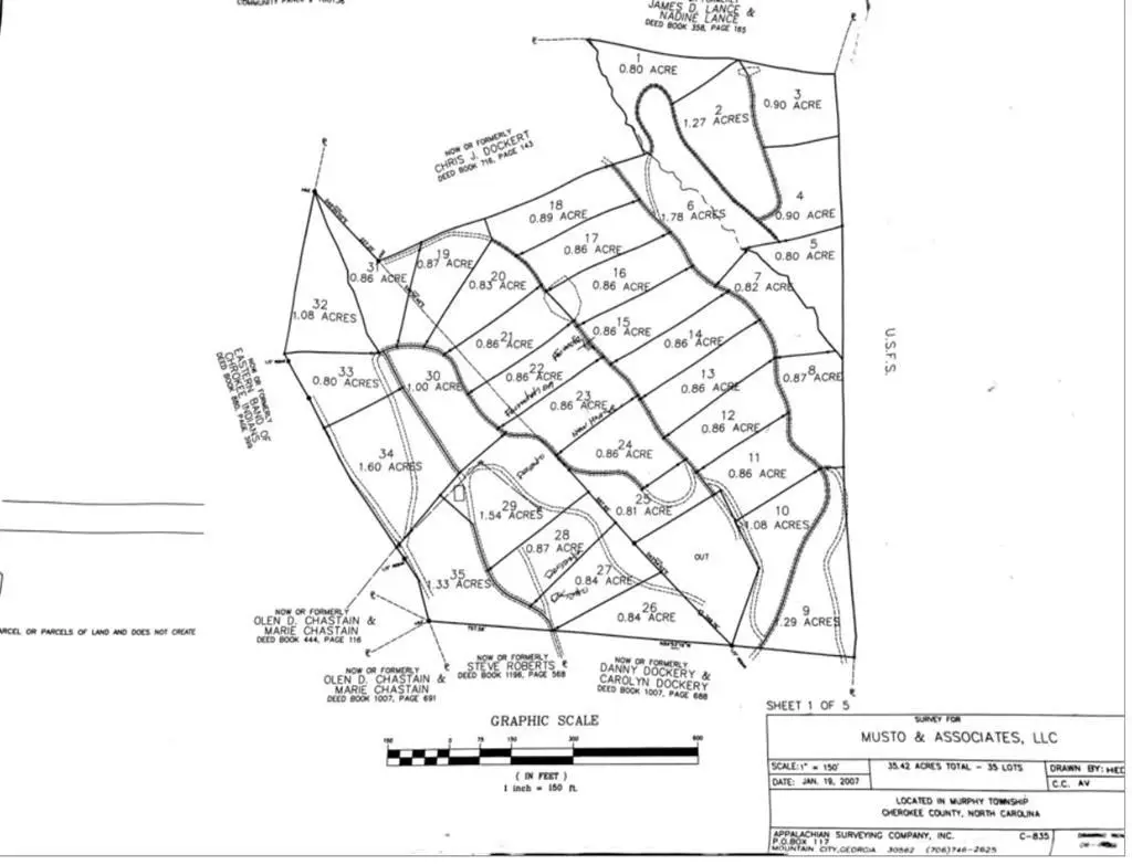 Lot 20 Ivy Log Road, Murphy, NC 28906 - #1