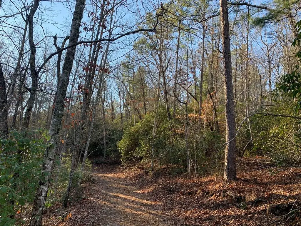 166 Qualla Trail, Murphy, NC 28906 - #1
