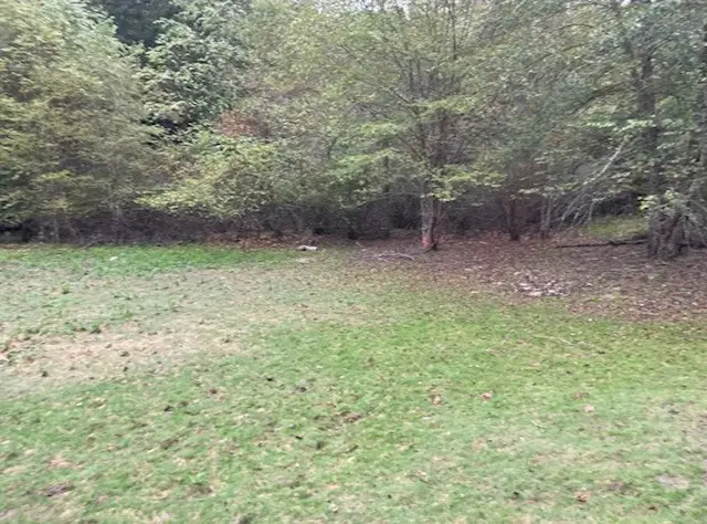 00 Wayah Road, Topton, NC 28781 - #3