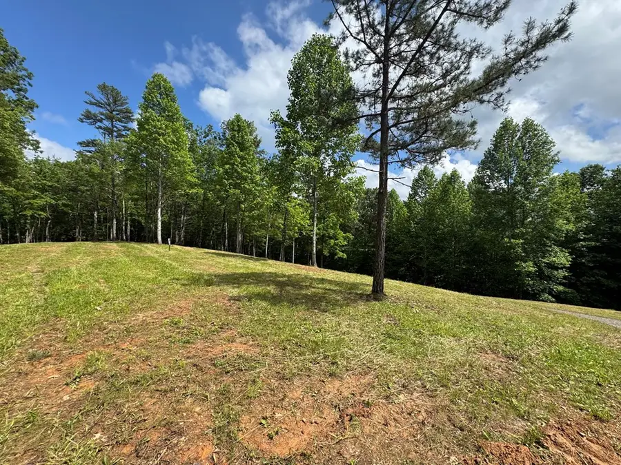 Lot 62 Thundering Hill, Murphy, NC 28906 - #3