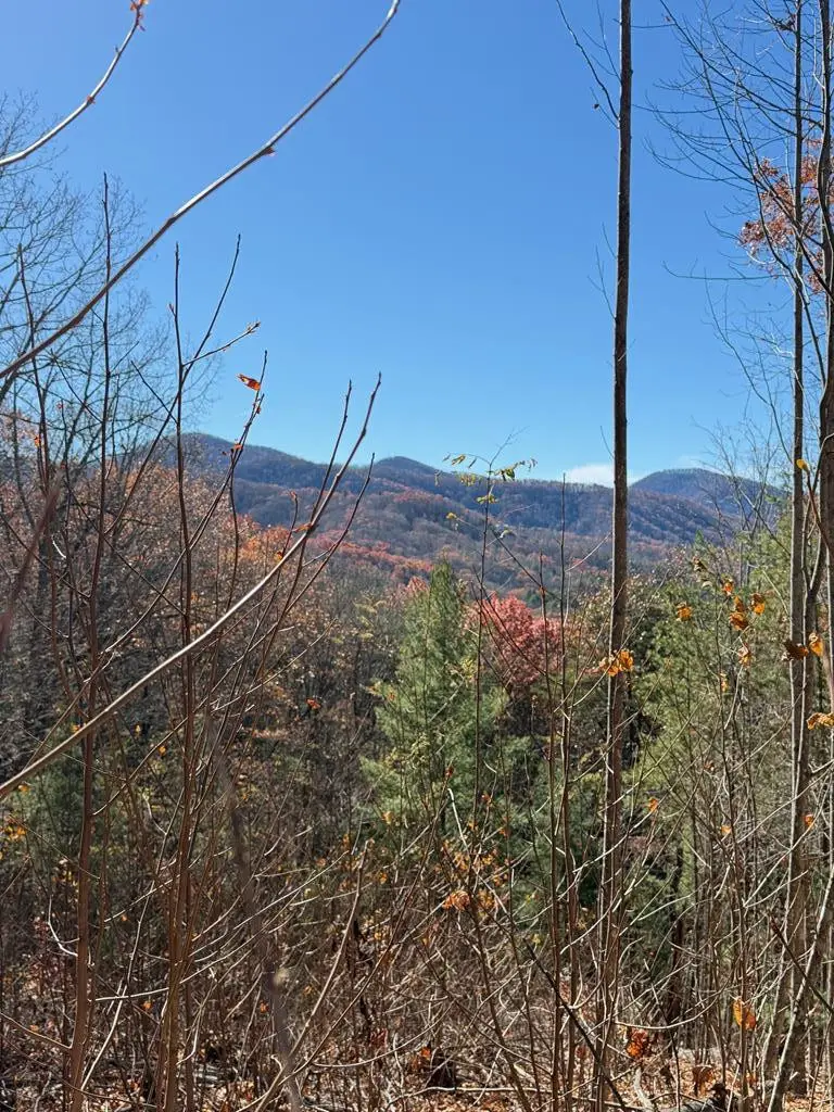 Lot 13 View Ridge Trail, Murphy, NC 28906 - #2