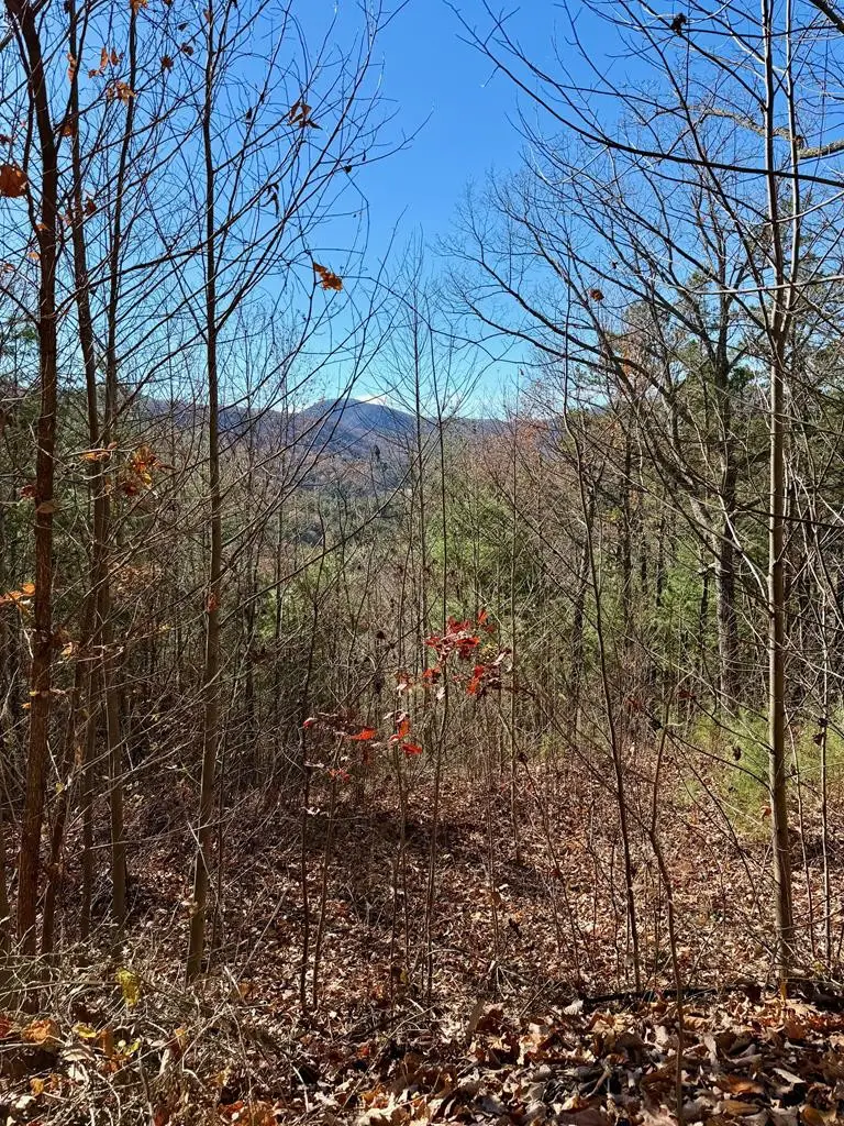 Lot 14 View Ridge Trail, Murphy, NC 28906 - #2