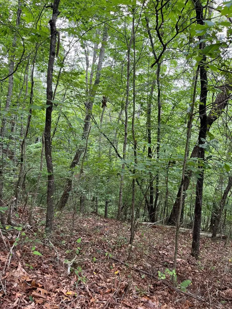 Lt 527-4 Farmers Top Drive, Murphy, NC 28906 - #2