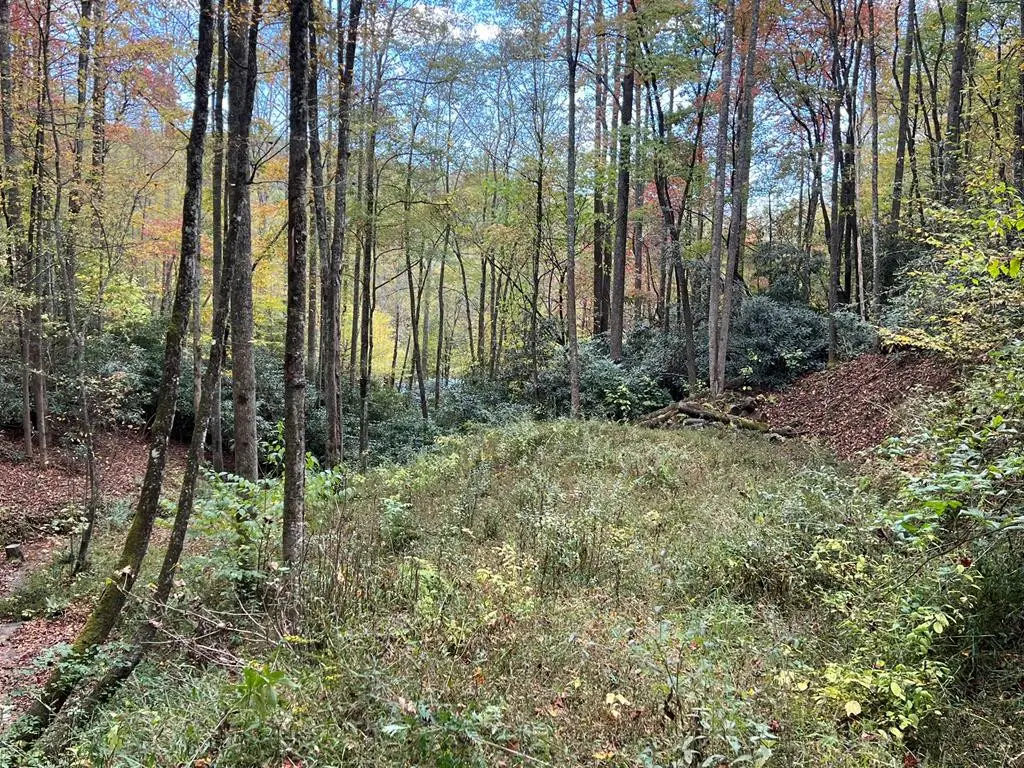Lot 17 Black Bear Trail, Nantahala, NC 28781 - #1
