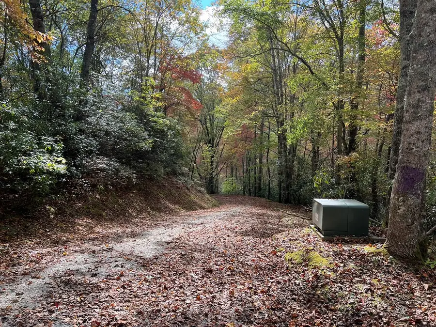 Lot 17 Black Bear Trail, Nantahala, NC 28781 - #2